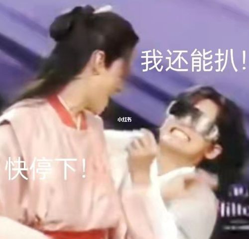 这组表情包给我笑s了_浪浪钉_素材_表情包
