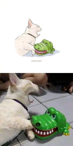当沙雕猫咪遇上灵魂画手,这些猫咪好像更沙雕可爱了