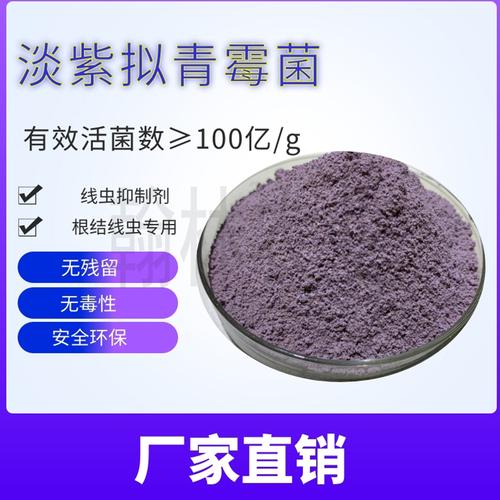 淡紫拟青霉菌根结线虫活菌灌根蔬菜果树微生物菌剂1千克厂家直销