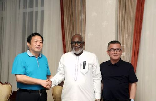 奥德集团林凡连主席会见尼日利亚执政党副主席,翁多州