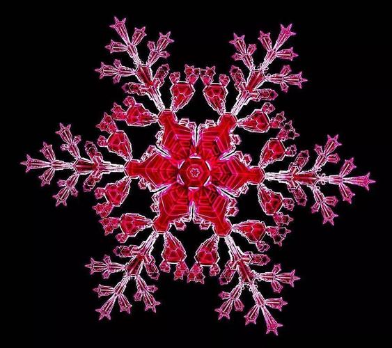 (雪花放大100倍.