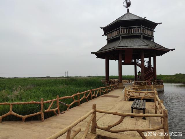 今天去了东营黄河入海口景区