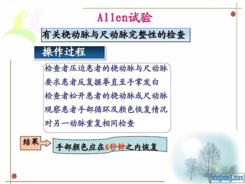 allen试验 有关桡动脉与尺动脉完整性的检查 操作过程 检查者压迫患者
