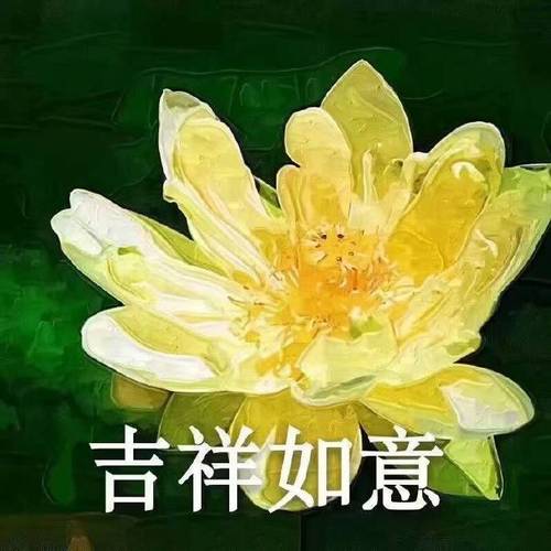 吉祥如意佛系荷花表情包