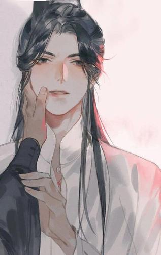 二哈和他的白猫师尊(墨燃x楚晚宁)壁纸二