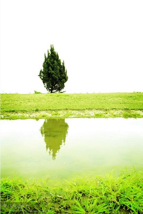 标题:小角落里的小风景