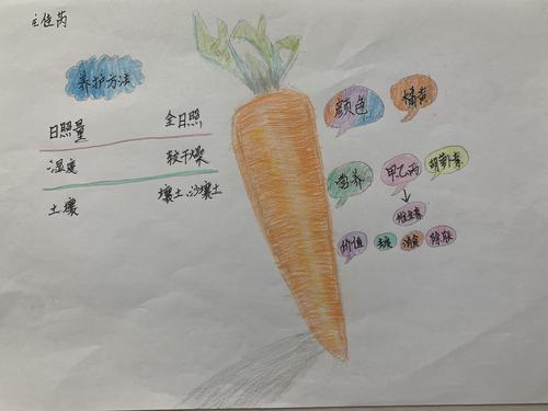 301班 三年级上册课文思维导图