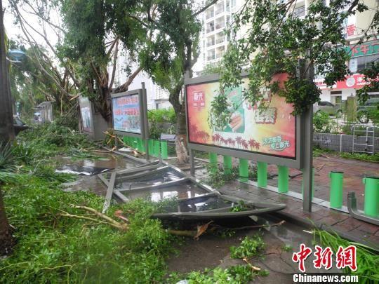 7月19日,超强台风"威马逊"过后的海口街头. 王子谦 摄
