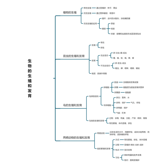 生物的生殖和发育