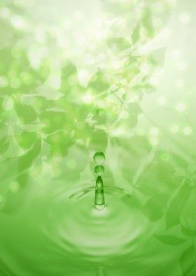 生命图片大全共22张