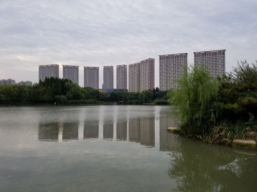 济宁任城生态湿地公园