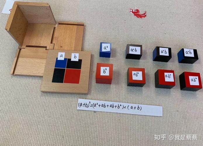 【蒙氏感官教具二项式,三项式的意义】