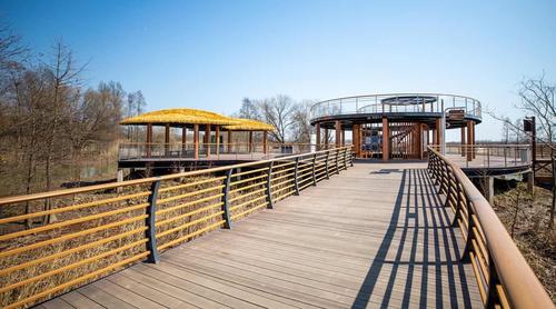 阔别两年半,上海崇明西沙湿地元宵节恢复开放,入园需