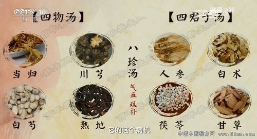 八珍汤:四君子汤 四物汤.