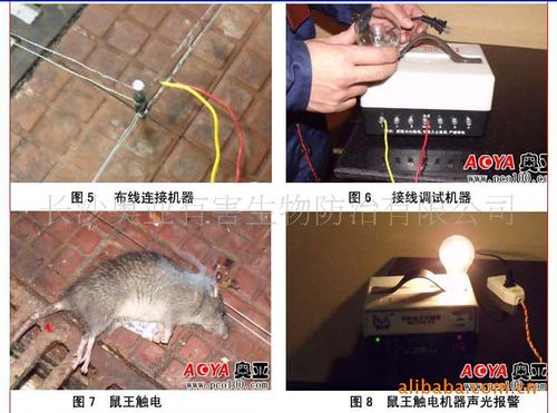 老鼠捕捉器效灭鼠器电猫捕鼠器/电子驱鼠器/长沙环保电子灭鼠器