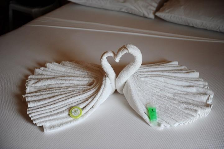 虽然是经济的小酒店,还是很用心的把毛巾叠成可爱的动物哦 turtle inn