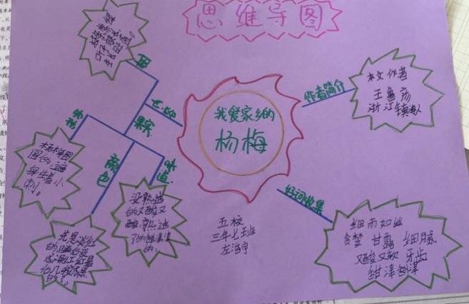 锡林浩特市第五小学三年七班《我爱故乡的杨梅》思维导图展示