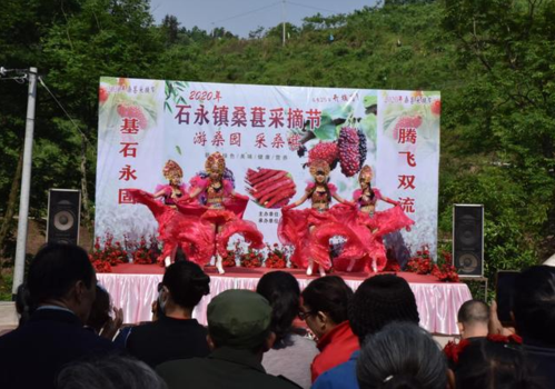 邻水县石永镇首届桑葚采摘节火热开幕