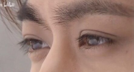 决战男明星长睫毛之巅 看眼睛猜长睫毛男明星(但是加了人换点.