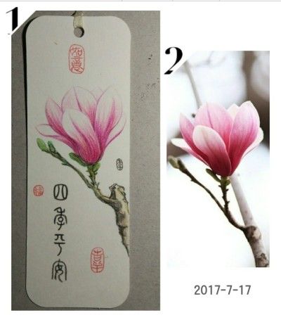 点赞  评论  小清新纯手绘书签桔梗龟背竹定制一物一拍书签古风唯美