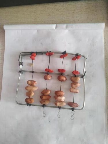 再来看看我们动手制作的简易小算盘吧!