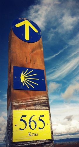 圣地亚哥朝圣之路 el camino de santiago——行走34天 第九天