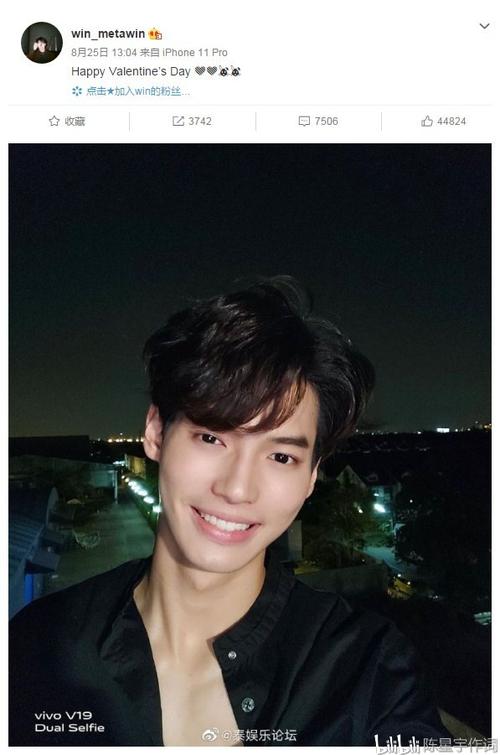 泰国明星 win metawin(泰剧 假偶天成)