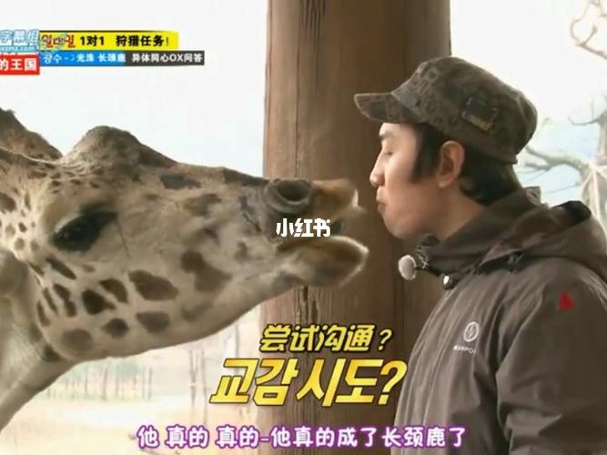 李光洙与长颈鹿啵啵!哈哈!_长颈鹿_runingman_娱乐