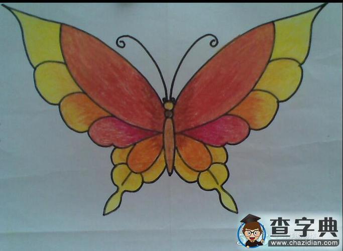 漂亮的蝴蝶蜡笔画 小学生动物画画图片欣赏