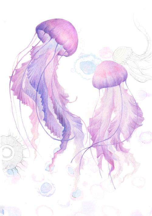 【彩铅画】水母