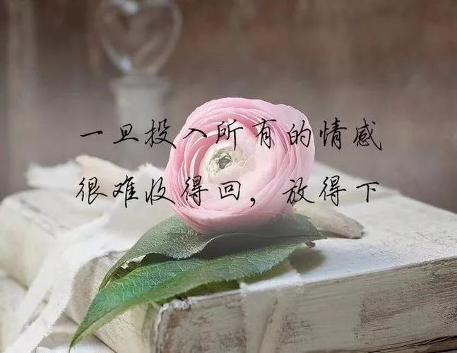 不吵不闹心凉了的说说的绝望伤心说说 - 说说心情图片