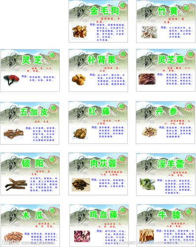 中药材图片