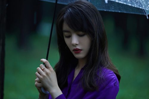 蔡文静