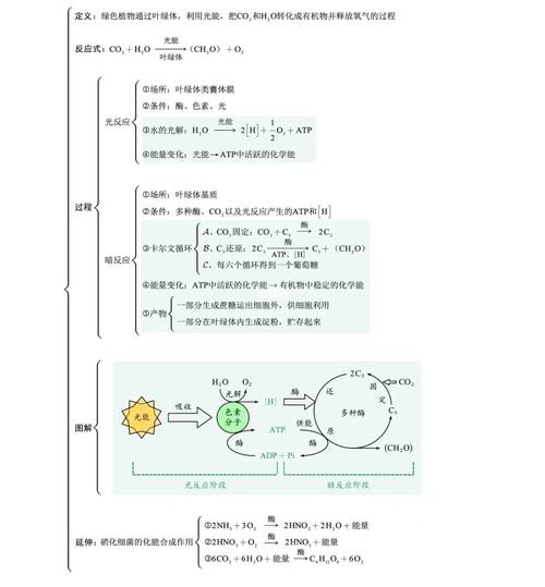 呼吸与光合_思维导图_新陈代谢_高考_光合作用怎么样_高中生物_教育