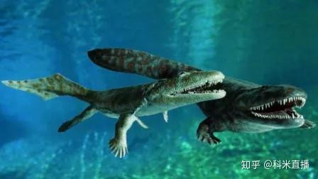 两栖动物是最原始的陆生脊椎动物,既有适应陆地生活的新的性状,又有从