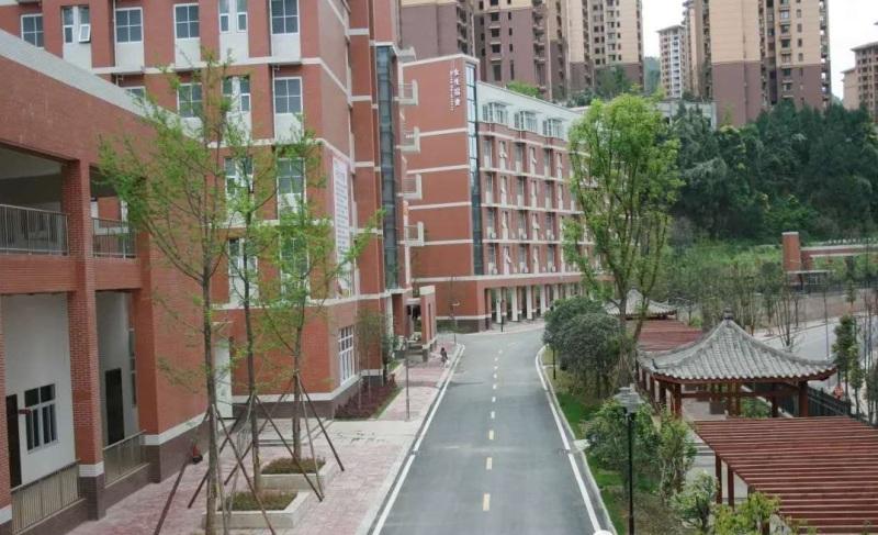 巴中市巴州区巴师附小兴合国际学校