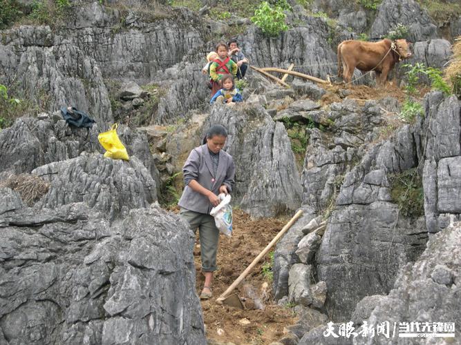 【两会聚焦贵州绿②】喀斯特石漠化治理:生态修复唤回满目苍翠