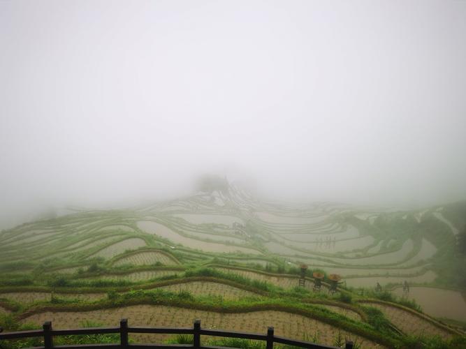 丽水千年云和梯田