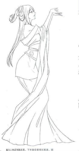 古风美少女的绘画教学,柔美的曲线的结构