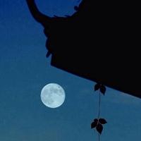 利来电游国际娱乐_黑夜头像图片 漆黑的黑夜头像图片_微信头像图片