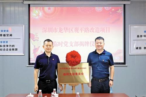 观平路改造项目临时党支部揭牌