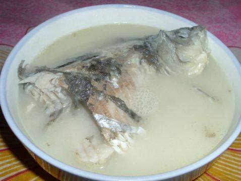 奶白鲫鱼汤的做法,奶白鲫鱼汤怎么做好吃,奶白鲫鱼汤