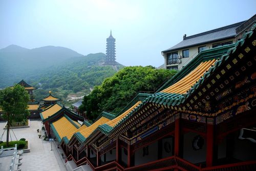 普陀山祈福三日游