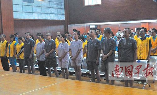 南国早报记者 许海鸥摄