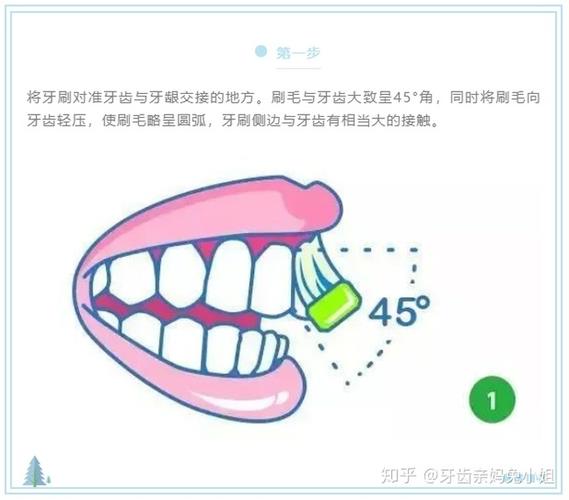 怎样快速掌握巴氏刷牙法看这个就行