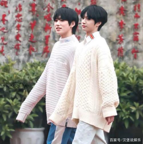 刘耀文和宋亚轩在队内是什么