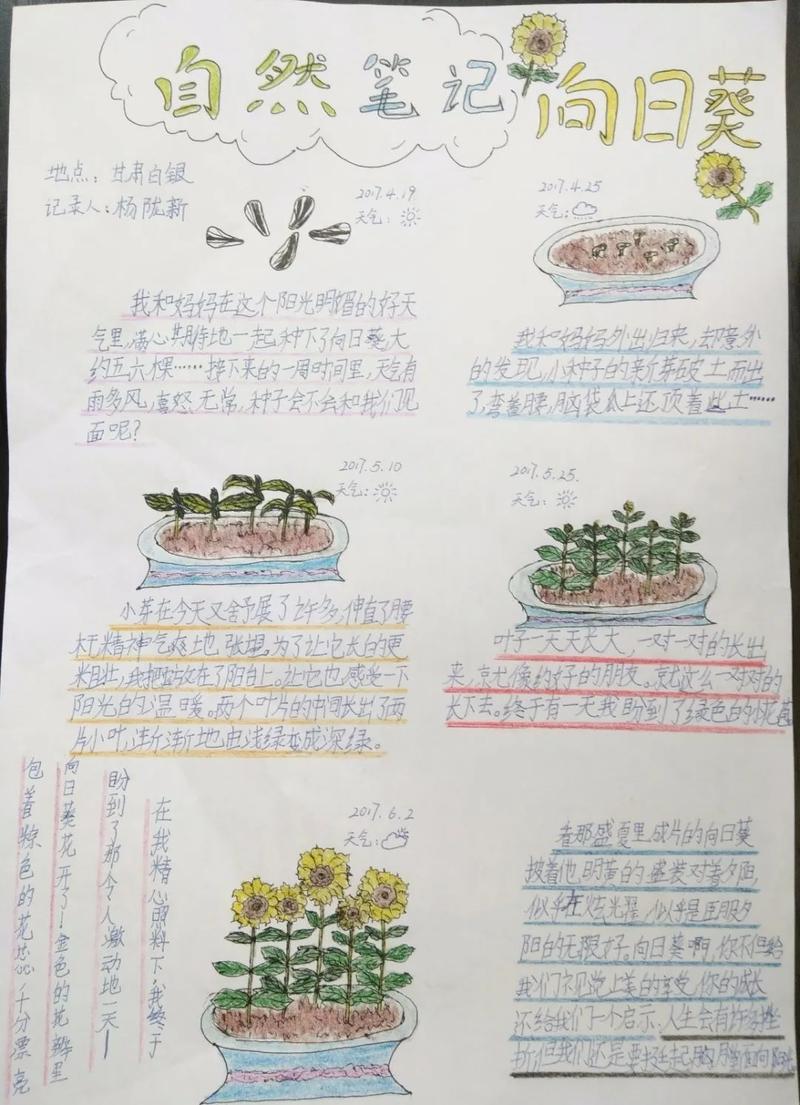 自然笔记|全国青少年自然笔记大赛优秀作品欣赏(第十一期)