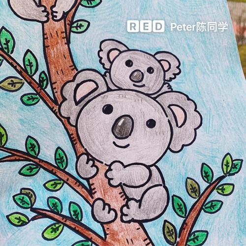 儿童画|可爱小考拉94动物主题儿童画96_绘画_彩铅