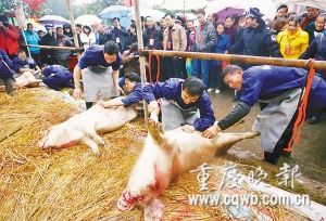 滚动新闻 国内网站 要吃这些部位: ①猪头肉②排骨③猪肝④三线肉⑤