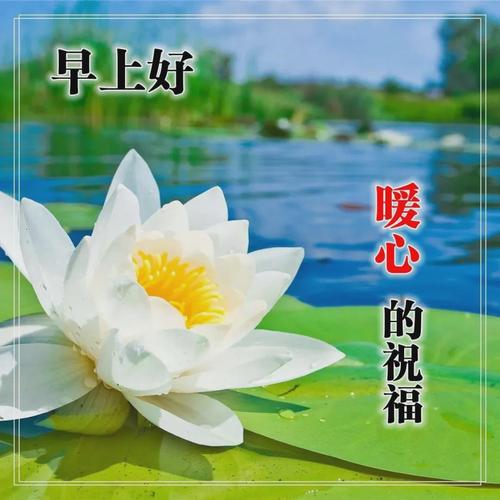 早上好问候语图片,微信早上问候图片大全,早上好经典问候语